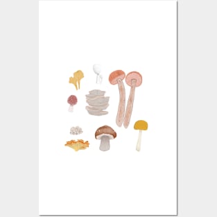 Mushroom Medley Posters and Art